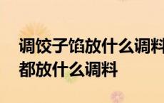 调饺子馅放什么调料不放什么调料 调饺子馅都放什么调料 