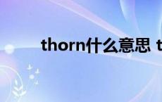 thorn什么意思 thorn是什么意思 