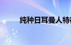 纯种日耳曼人特征 日耳曼人特征 