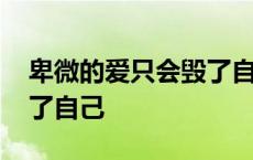 卑微的爱只会毁了自己歌词 卑微的爱只会毁了自己 