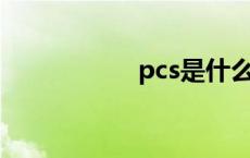 pcs是什么单位 PCS 