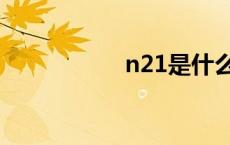 n21是什么意思 n21 