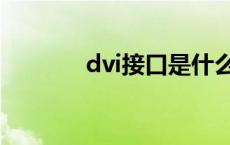 dvi接口是什么意思 dvi接口 