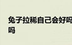 兔子拉稀自己会好吗图片 兔子拉稀自己会好吗 