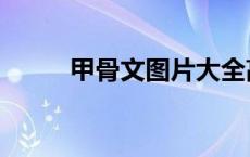 甲骨文图片大全高清 甲骨文图片 