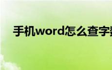 手机word怎么查字数 word怎么查字数 