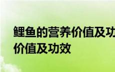 鲤鱼的营养价值及功效百度百科 鲤鱼的营养价值及功效 