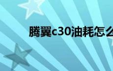 腾翼c30油耗怎么样 腾翼c30油耗 