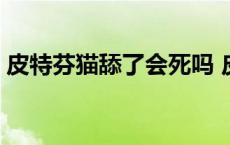 皮特芬猫舔了会死吗 皮特芬猫舔了会中毒不 