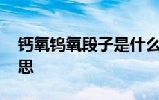 钙氧钨氧段子是什么意思 钙氧钨氧是什么意思 