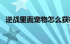 逆战里面宠物怎么获得 逆战宠物怎么获得 