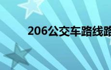 206公交车路线路 206公交车线路 