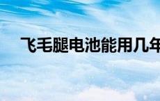 飞毛腿电池能用几年 飞毛腿电池多少钱 