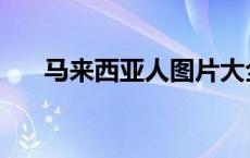 马来西亚人图片大全 马来西亚人图片 