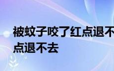 被蚊子咬了红点退不去严重吗 被蚊子咬了红点退不去 