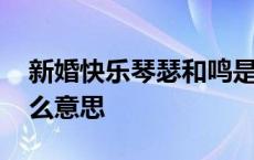 新婚快乐琴瑟和鸣是什么意思 琴瑟和鸣是什么意思 