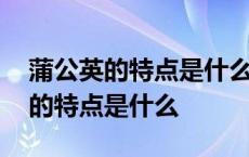 蒲公英的特点是什么用一个词来概括 蒲公英的特点是什么 