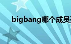 bigbang哪个成员死了 bigbang大成 