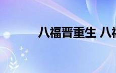 八福晋重生 八福晋的系统攻略 