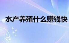 水产养殖什么赚钱快 水产养殖什么最赚钱 