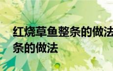 红烧草鱼整条的做法不放豆瓣酱 红烧草鱼整条的做法 