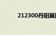 212300丹阳翼网招聘 212300 