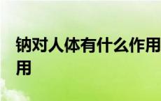 钠对人体有什么作用 减肥 钠对人体有什么作用 