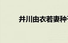 井川由衣若妻种子下载 井川由衣 