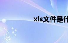 xls文件是什么 xls文件 