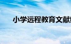 小学远程教育文献综述 小学远程教育 