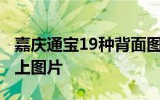 嘉庆通宝19种背面图及价格 嘉庆通宝40万以上图片 