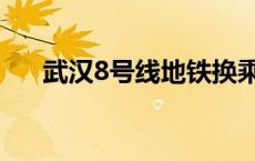 武汉8号线地铁换乘线路图 武汉8号线 