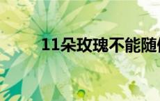 11朵玫瑰不能随便送人 11朵玫瑰 