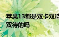 苹果13都是双卡双待手机吗 苹果手机有双卡双待的吗 