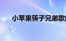 小苹果筷子兄弟歌曲 小水果筷子兄弟 