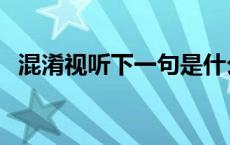 混淆视听下一句是什么 混淆视听什么意思 