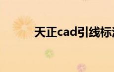 天正cad引线标注 cad引线标注 