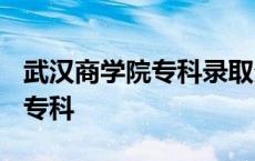 武汉商学院专科录取分数线2022 武汉商学院专科 