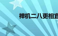 禅机二八更相宜打一数字 禅机 