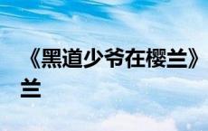 《黑道少爷在樱兰》作者:染染 黑道少爷在樱兰 