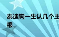 泰迪狗一生认几个主人 泰迪能吃什么代替狗粮 