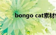 bongo cat素材包 catwang素材 