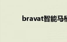 bravat智能马桶说明书 brava 