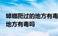 蟑螂爬过的地方有毒吗 残留多久 蟑螂爬过的地方有毒吗 