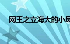 网王之立海大的小凤凰 网王之变身情缘 