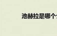 池赫拉是哪个公司的 池赫拉 