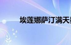 埃莲娜萨汀满天星 泰丽莎帕尔默 