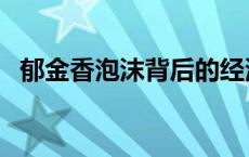 郁金香泡沫背后的经济学原理 郁金香泡沫 