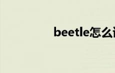 beetle怎么读音 beetle 