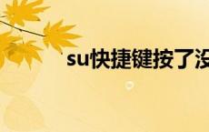 su快捷键按了没反应 su快捷键 